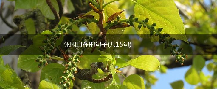 休闲自在的句子(共15句),第1张