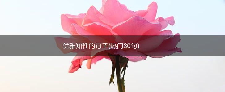 优雅知性的句子(热门80句),第1张