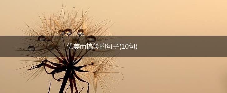 优美而搞笑的句子(10句),第1张