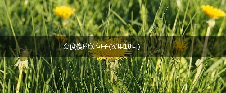 会傻傻的笑句子(实用10句),第1张