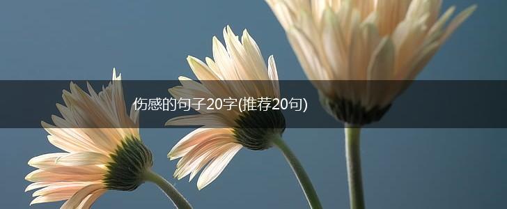 伤感的句子20字(推荐20句),第1张