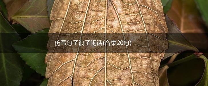 仿写句子浪子闲话(合集20句),第1张