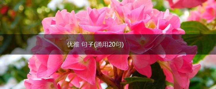 优雅 句子(通用20句),第1张