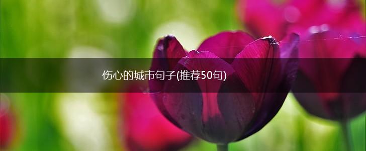 伤心的城市句子(推荐50句),第1张